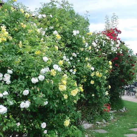 Oda ve Kahvaltı Sportpark Warmbad-villach