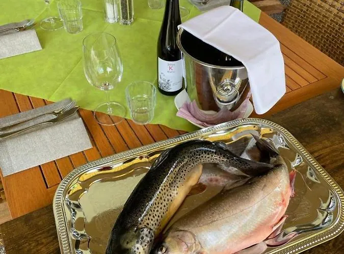 Bed & Breakfast Sportpark Warmbad-villach Villach