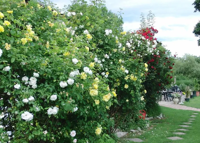 Bed & Breakfast Sportpark Warmbad-villach